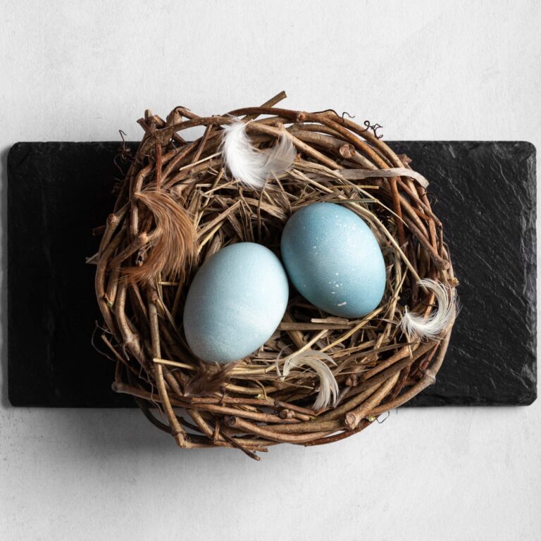 flat-lay-easter-eggs-bird-nest-slate